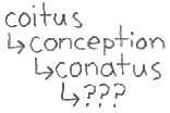 coitus
conception
conatus
???