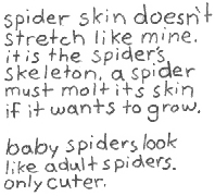 spider skin doesn't stretch like
mine. it is the spider's skeleton.
a spider must molt its skin if it
wants to grow. baby spiders look
like adult spiders. only cuter.